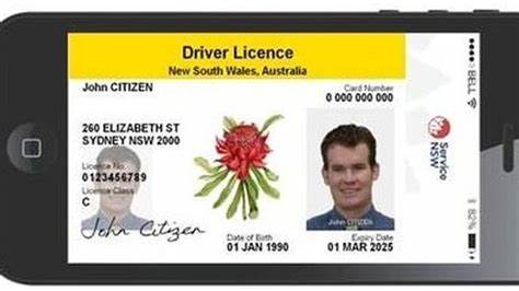 drivers license